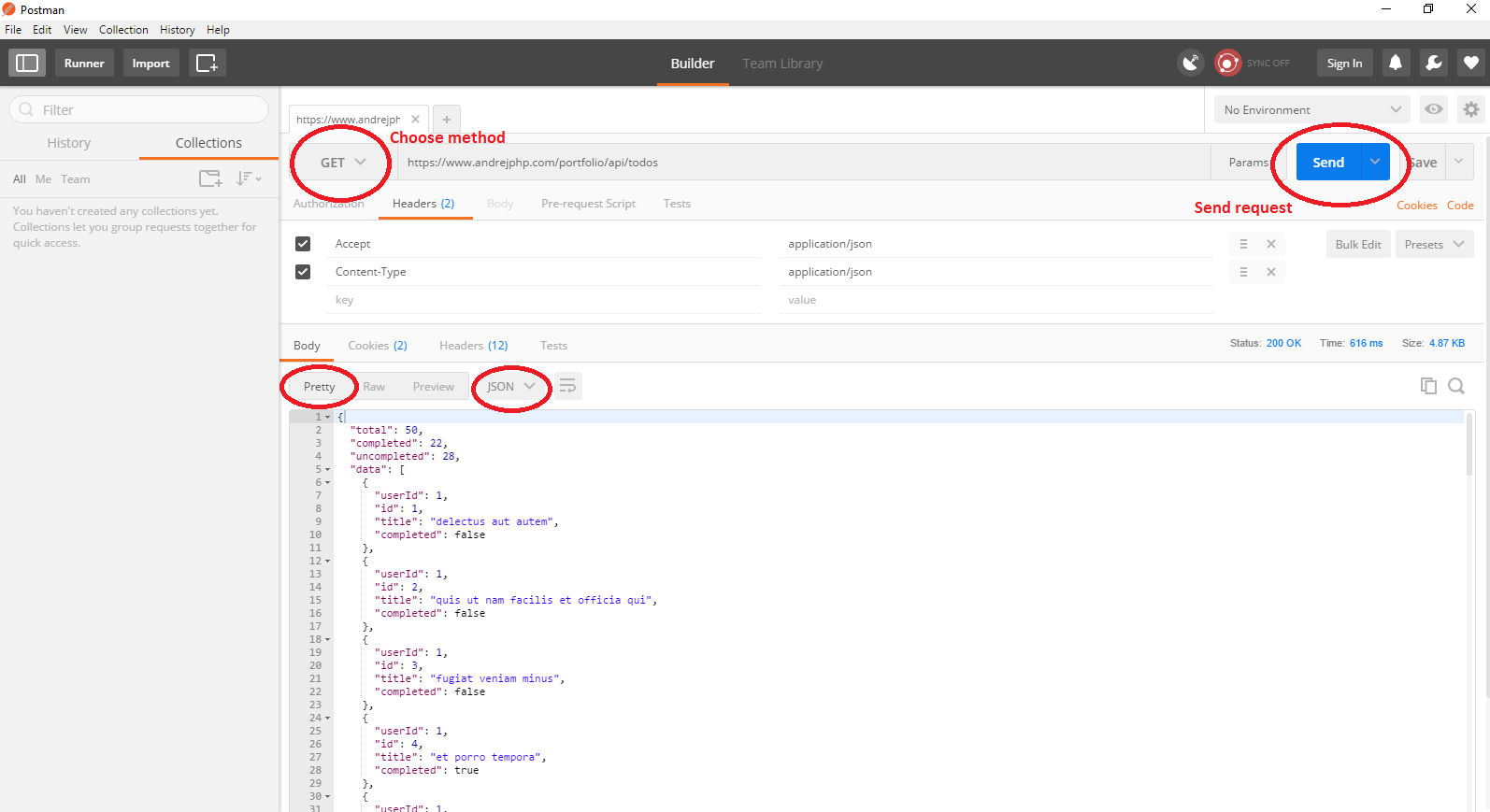 API Request Example